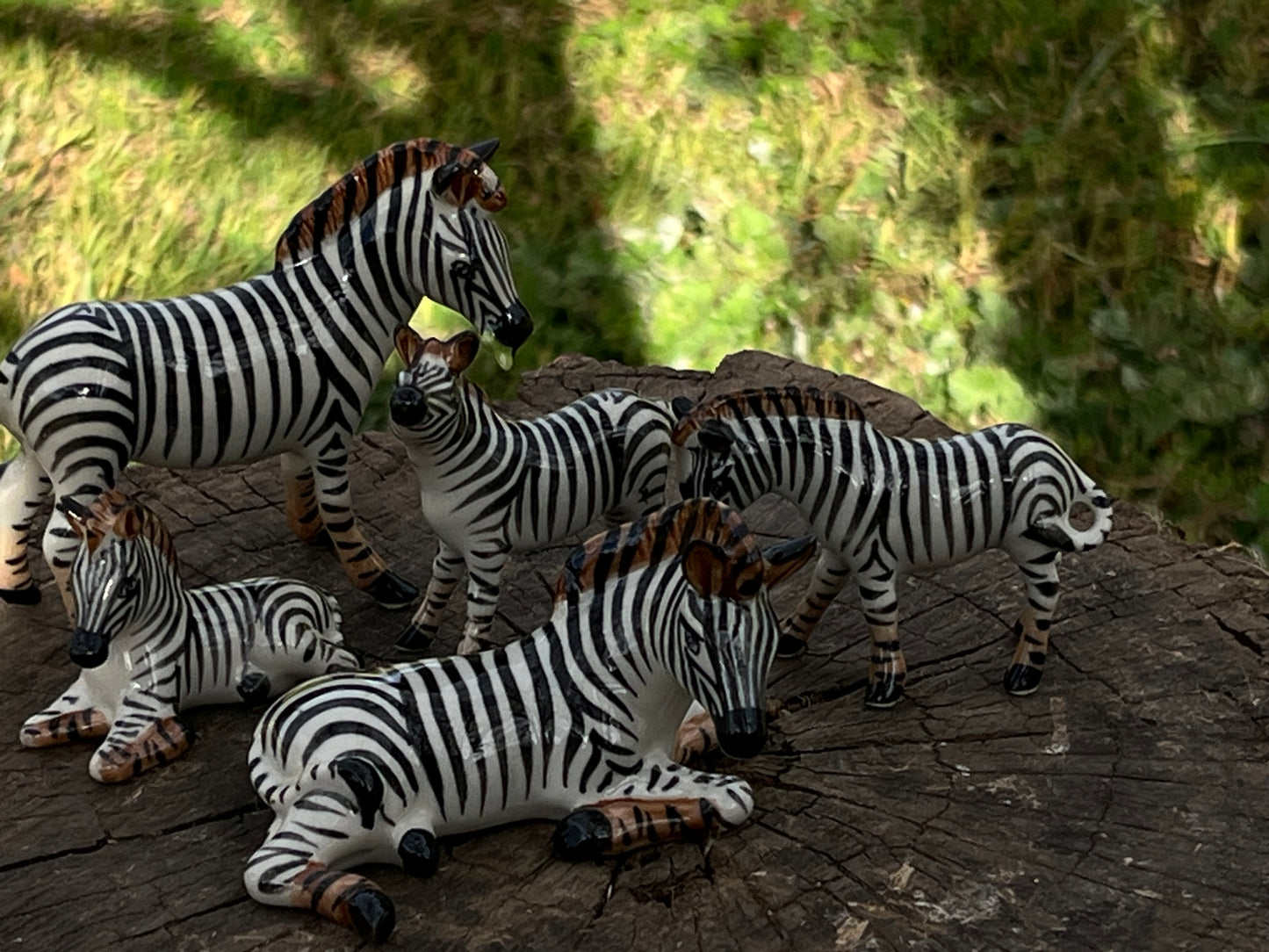 Miniature Porcelain Zebra Figurines — Set of 5