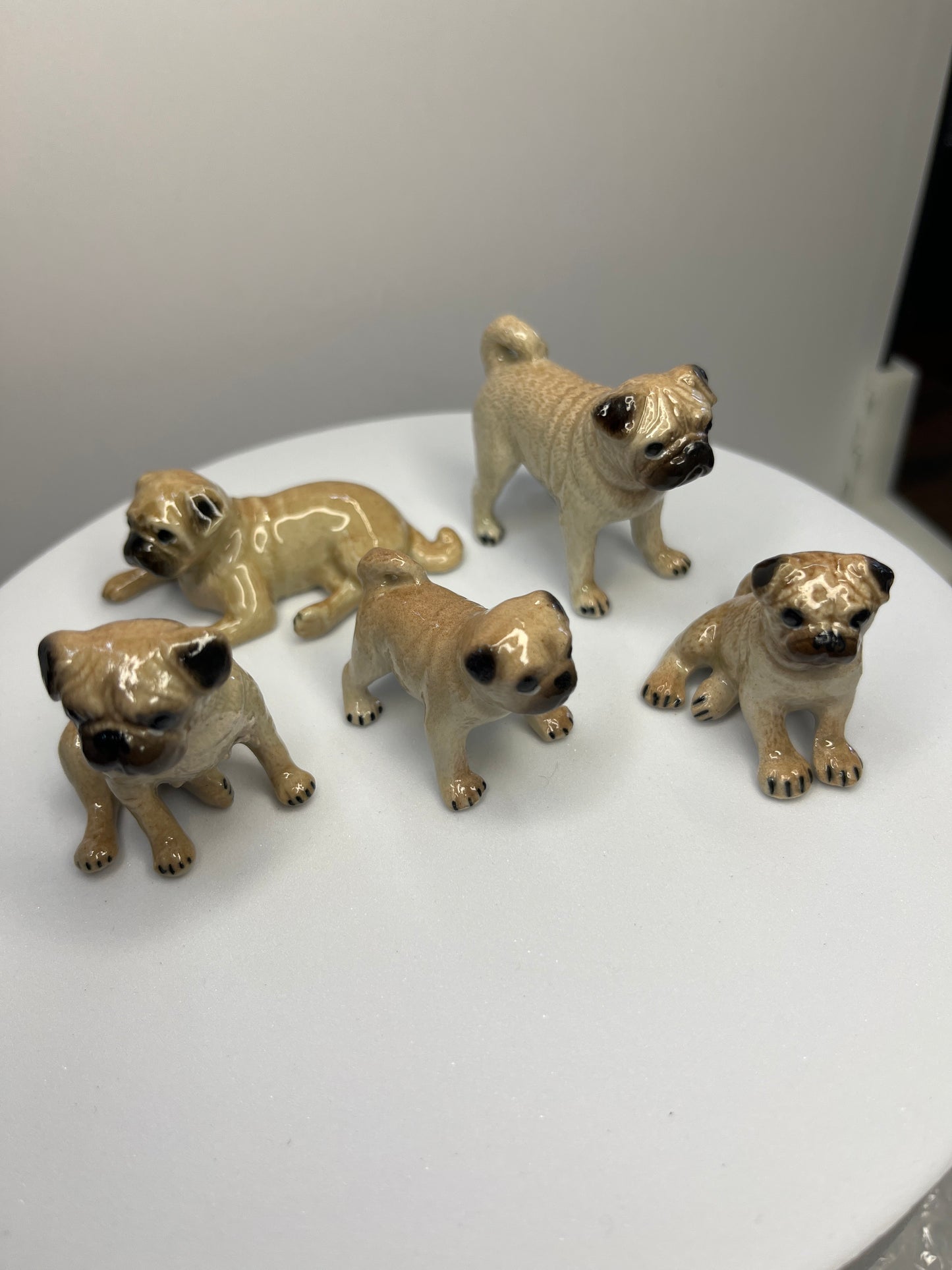 Miniature Porcelain Pug Family Set of 5 Figurines