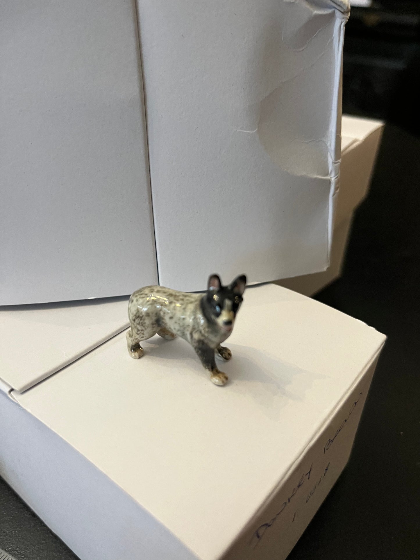 Miniature Porcelain Blue Australian Cattle Dog Mini