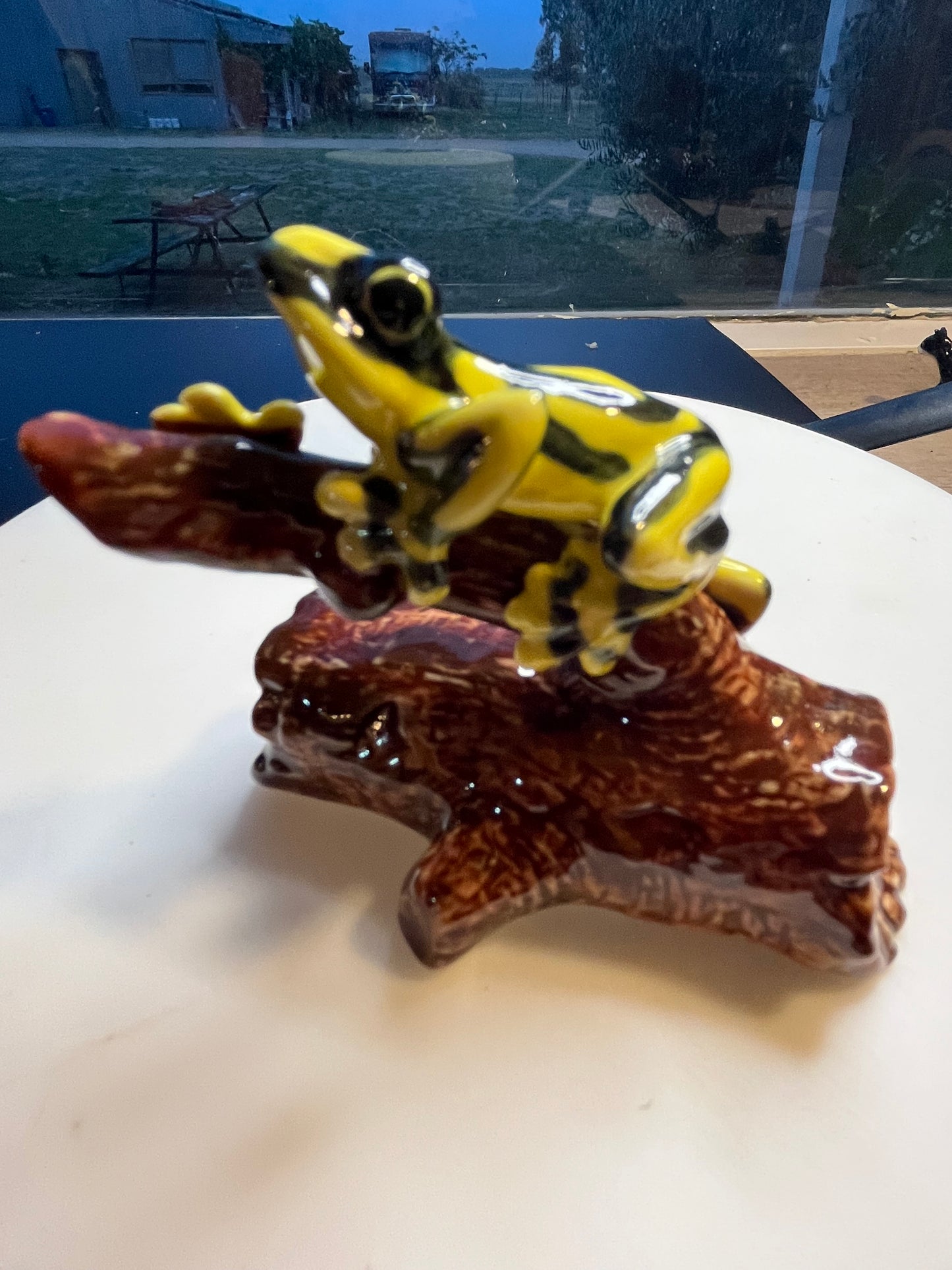 Miniature Porcelain Corroboree Frog