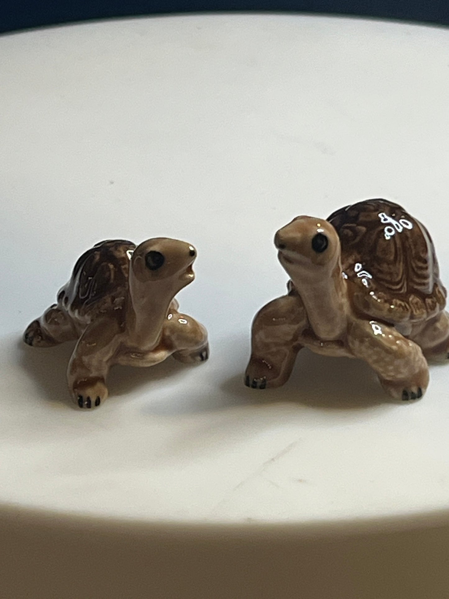 Miniature Porcelain Hand Painted Galapagos Giant Turtles