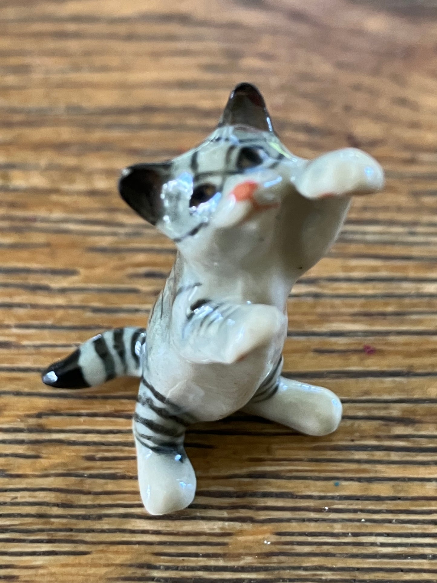 Miniature Porcelain Grey Tabby Cat Standing