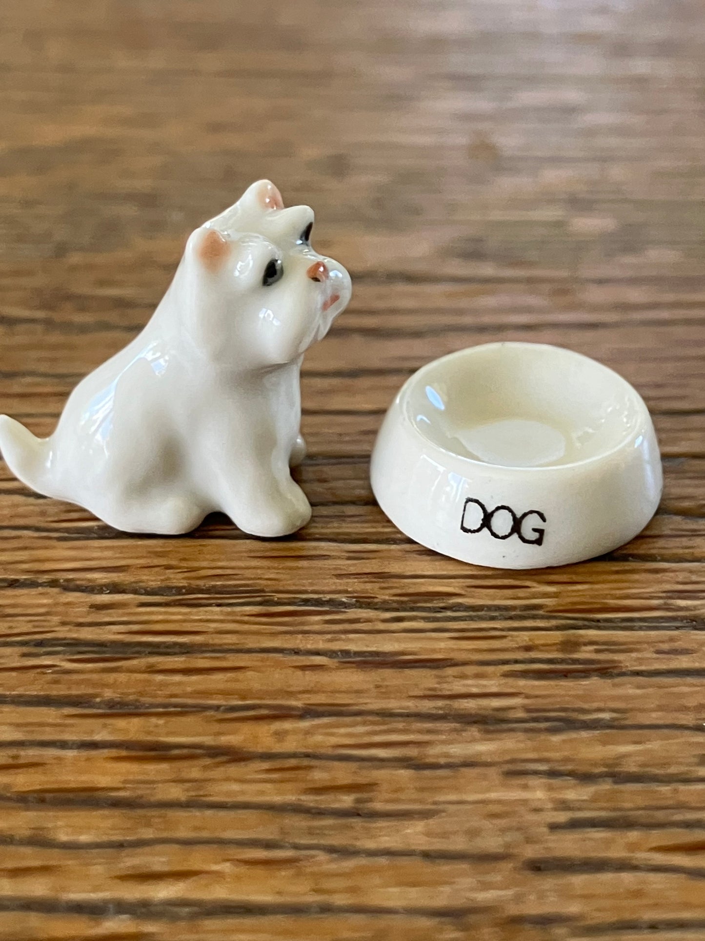 Mini Miniature Highland Terrier With Dog Bowl
