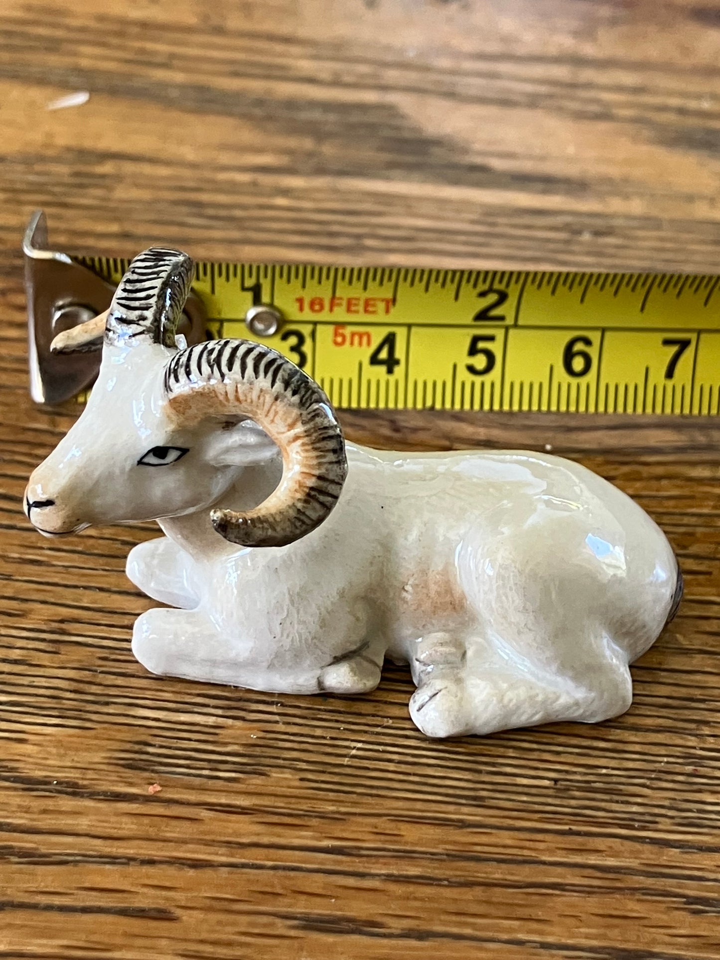 Miniature Barbary Sheep