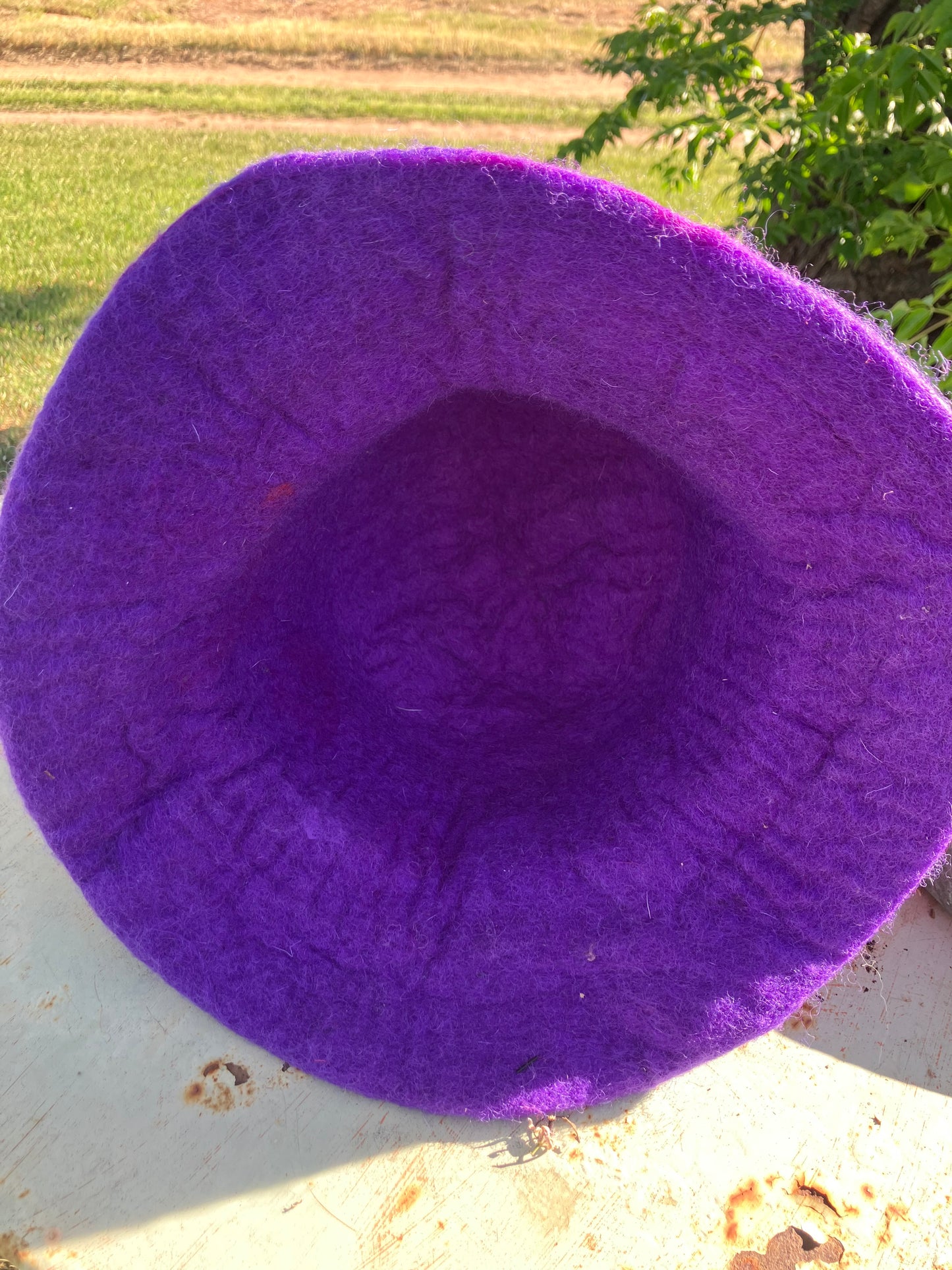 Purple Mushroom Felted Hat