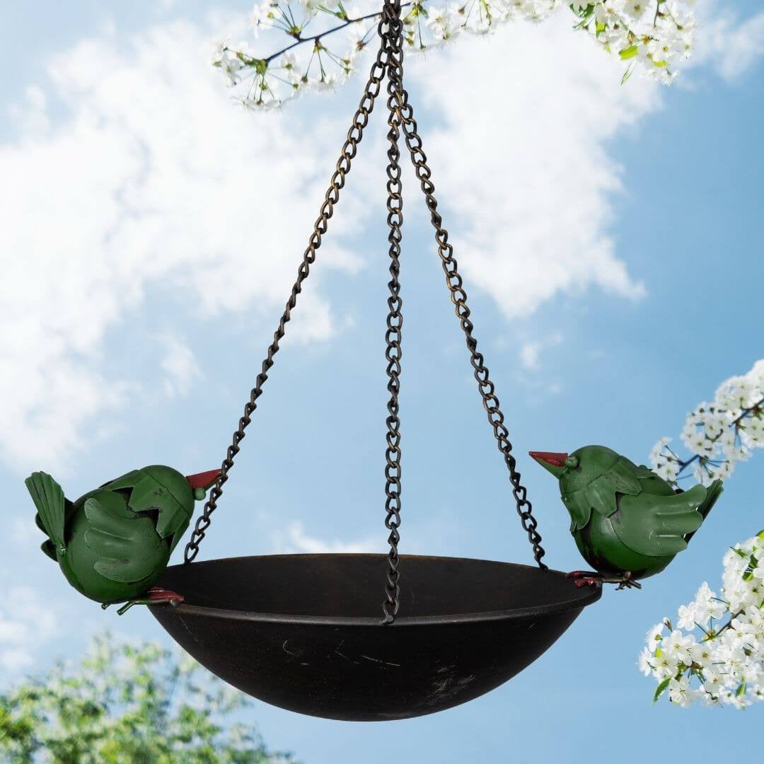 Two Charming Birds Perched on a rim of a Bird Feeder