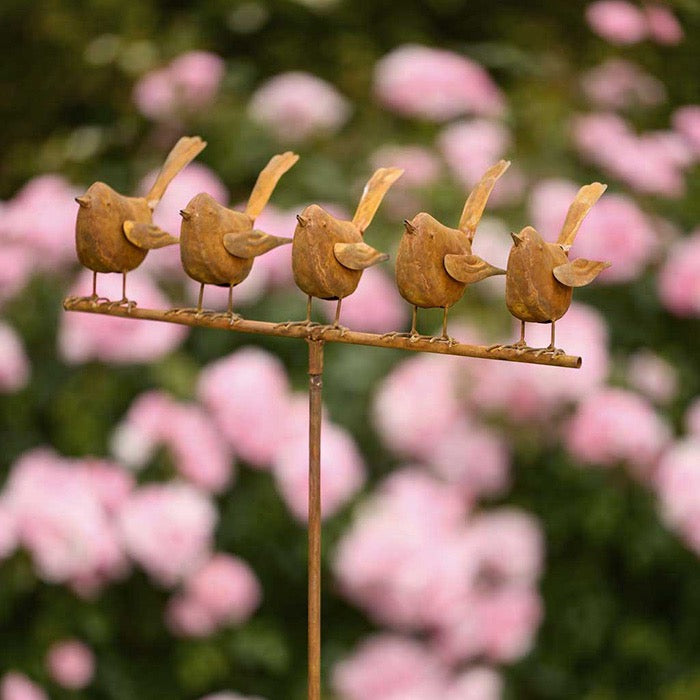 5 Rusty Wrens Sitting on Perch Garden Stake