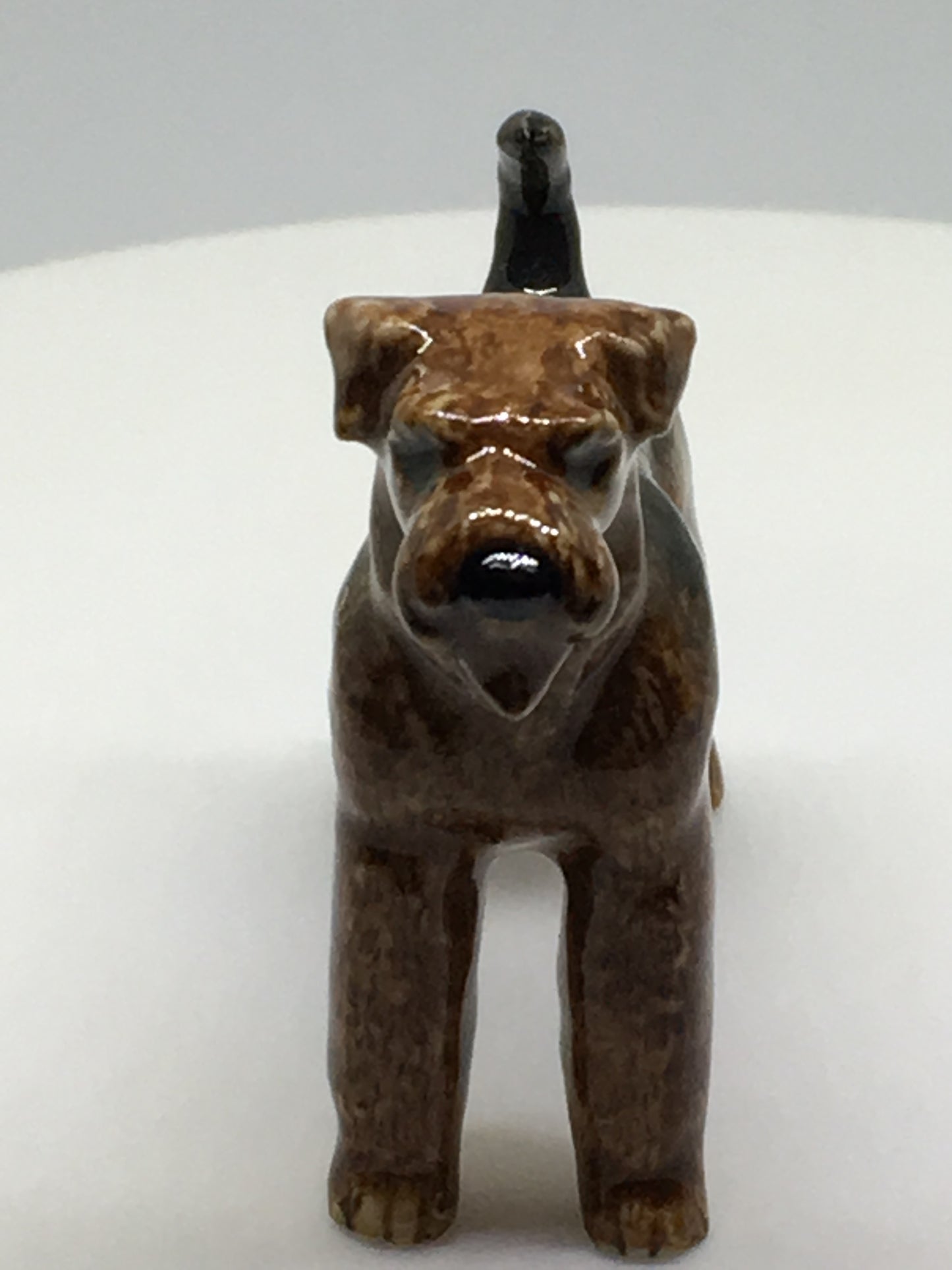 Miniature Porcelain Dog Figurine Airedale Bingley Terrier Waterside Terrier Dog Breed