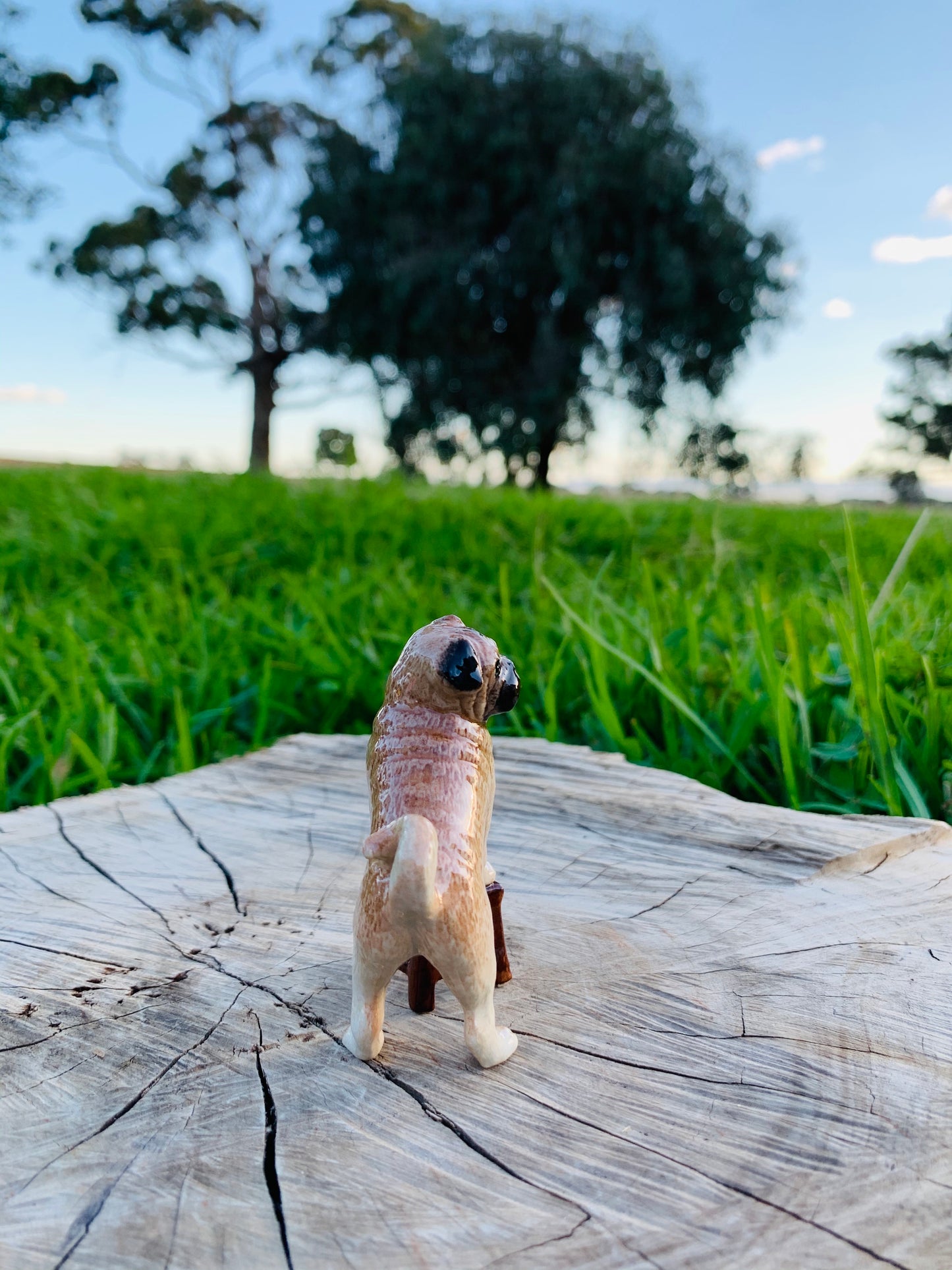 Miniature Porcelain Pug Standing On Chair Figurine