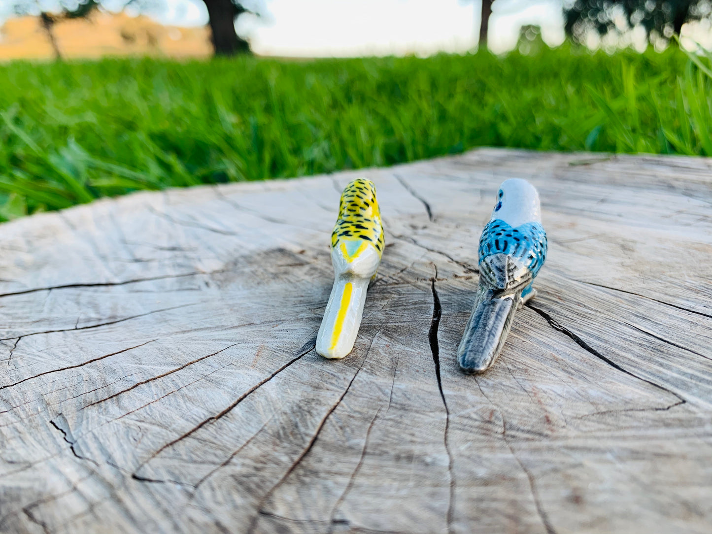 Miniature Porcelain Bird Figurines Budgerigars Mini