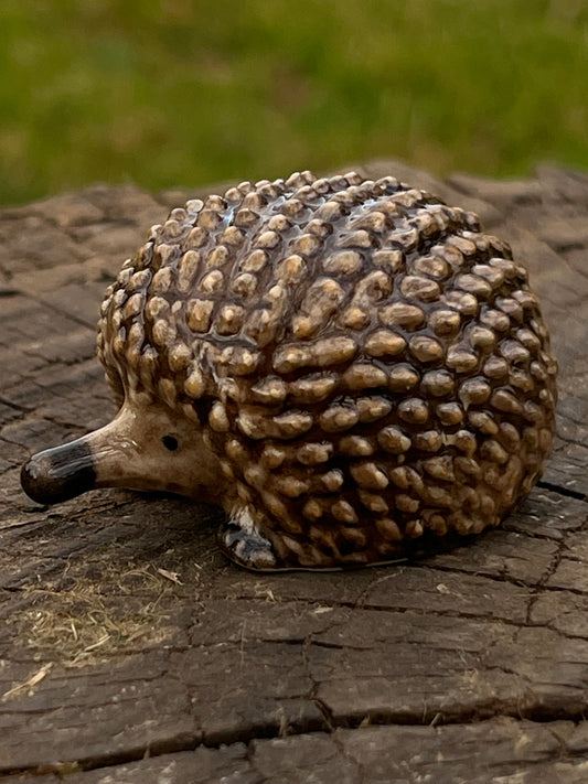 Miniature Porcelain Echidna Figurine — Large