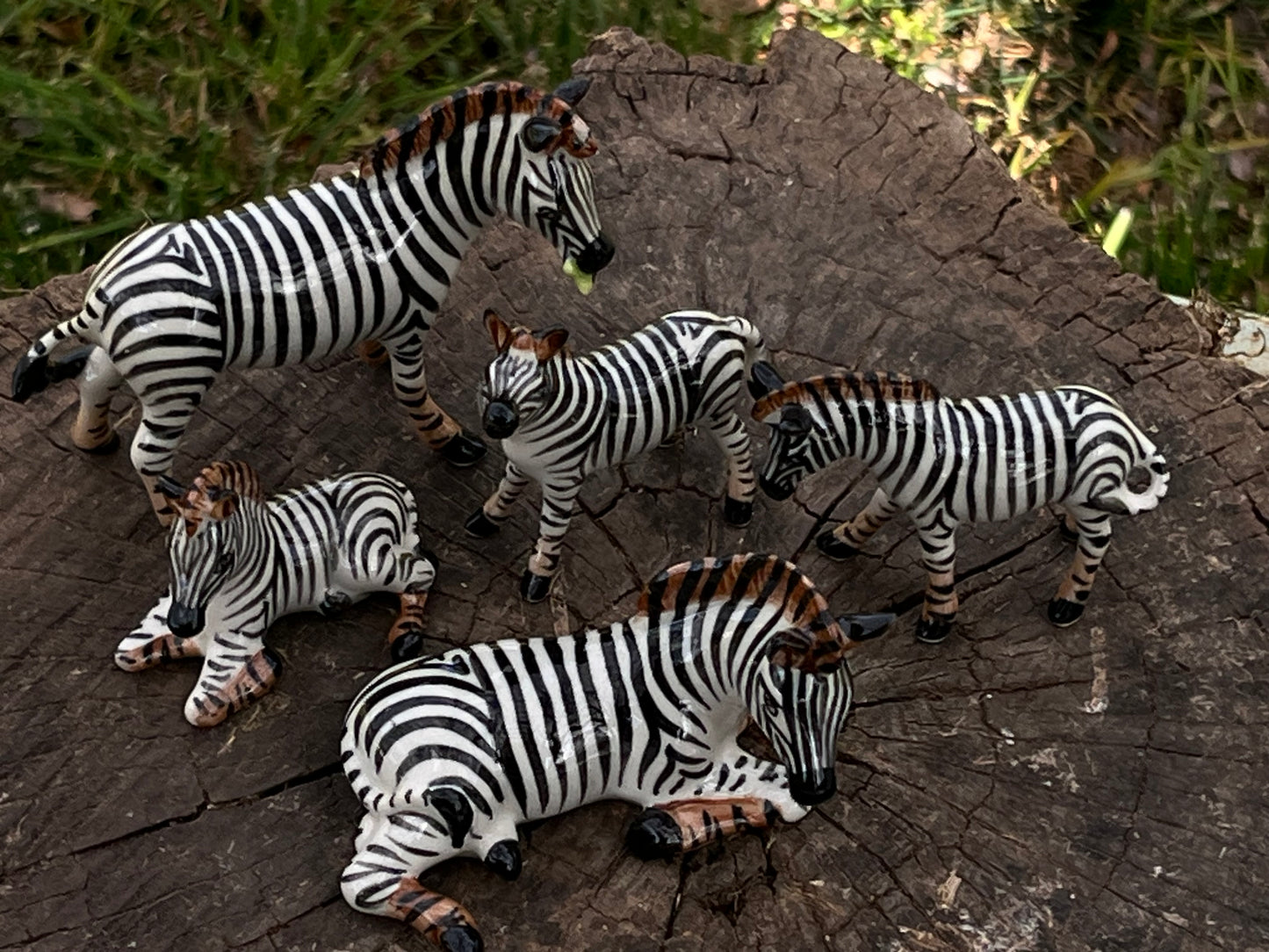 Miniature Porcelain Zebra Figurines — Set of 5