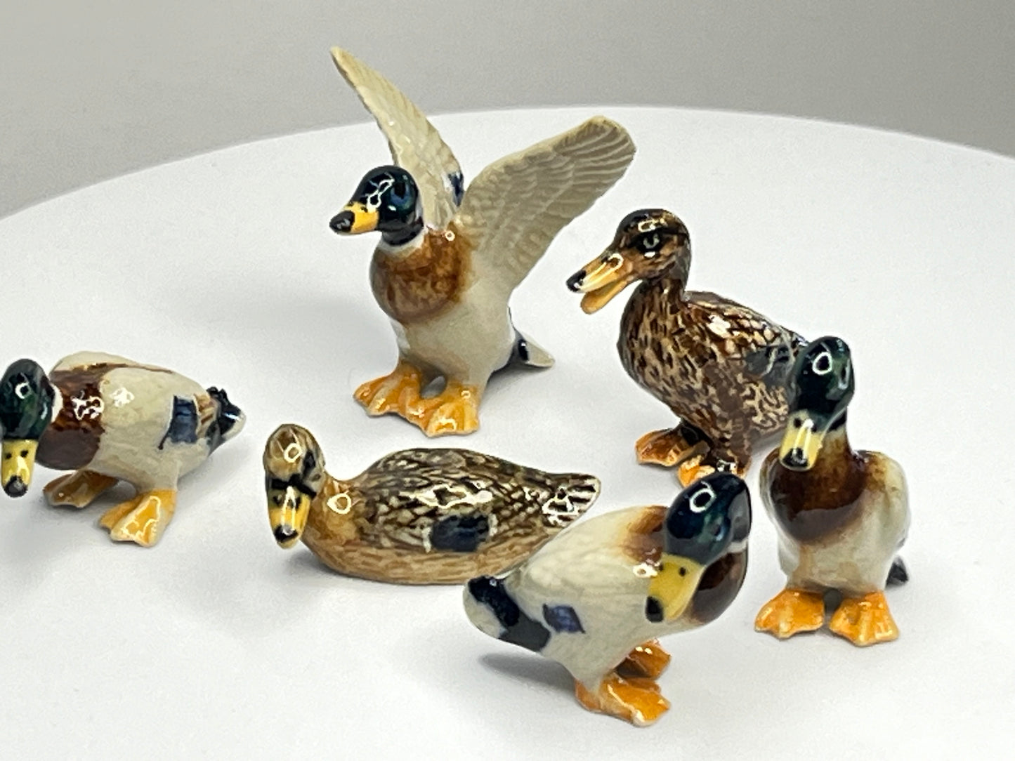 Miniature Porcelain Mallard Duck Bird Figurines (6Pcs)