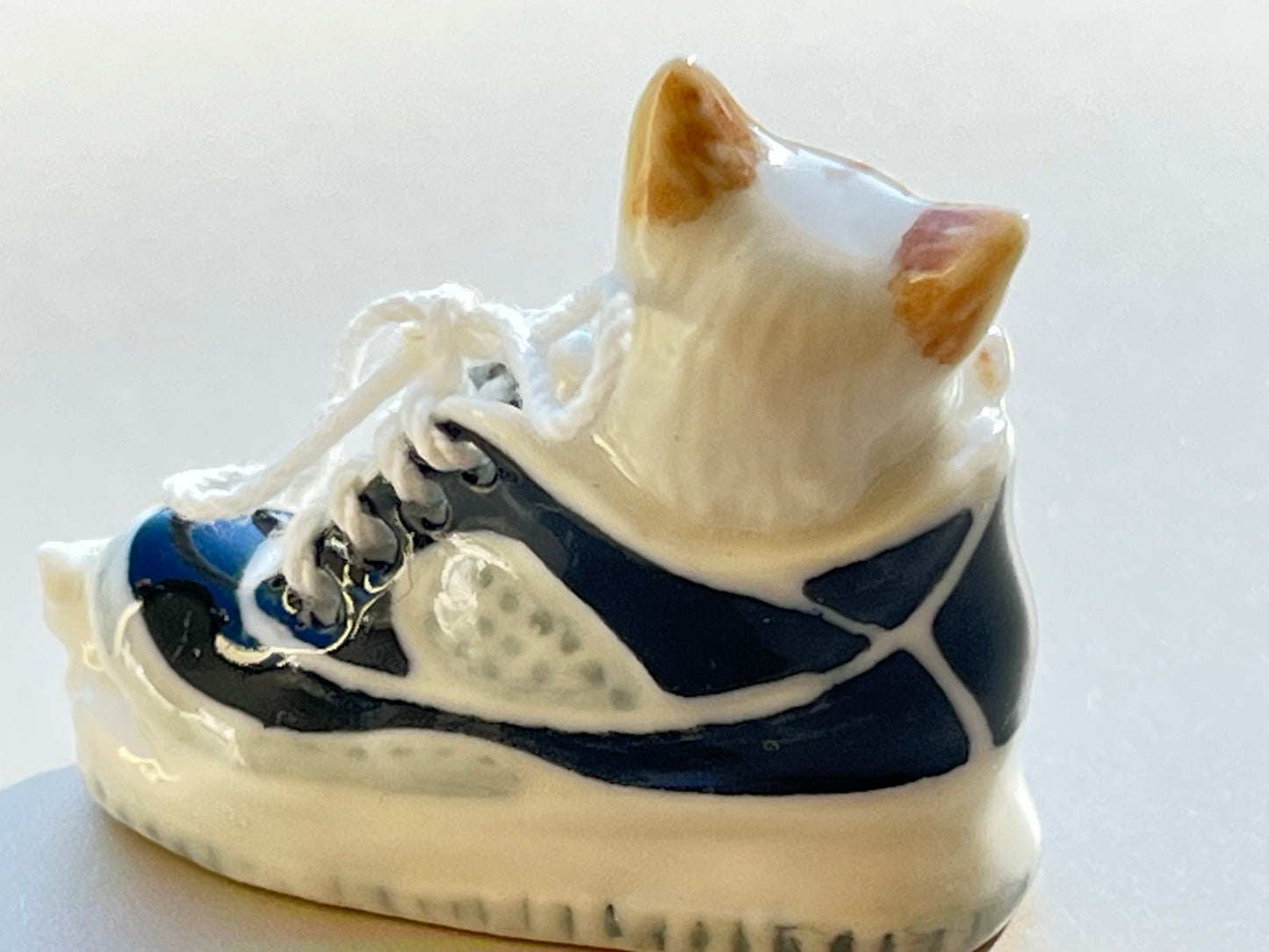 Miniature Cat Sleeping in Shoe with Mouse