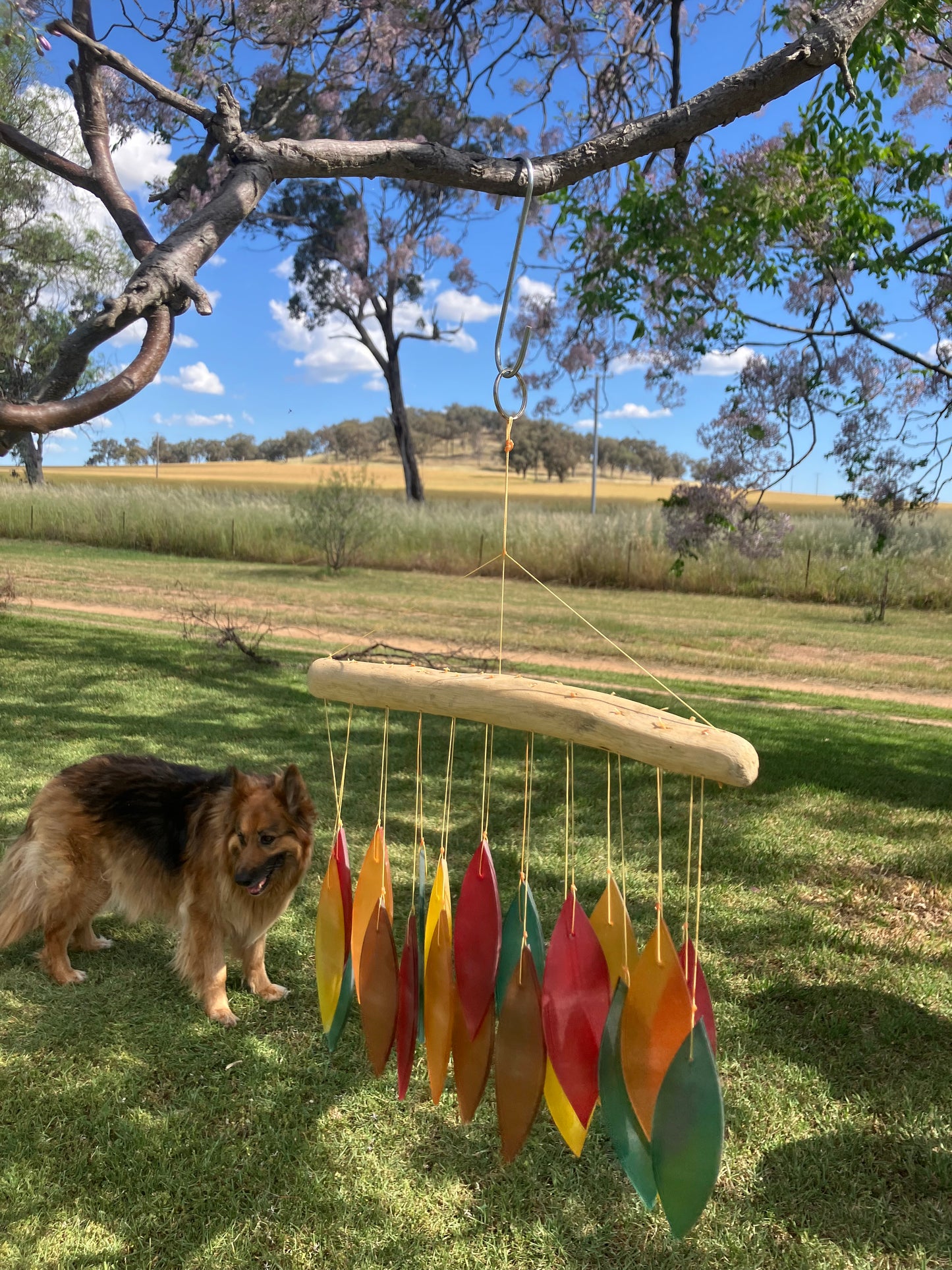 Red Yellow Orange and Green Colour Glass  Wind Chime With Driftwood