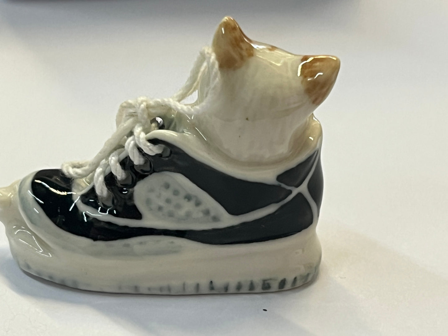 Miniature Cat Sleeping in Shoe with Mouse