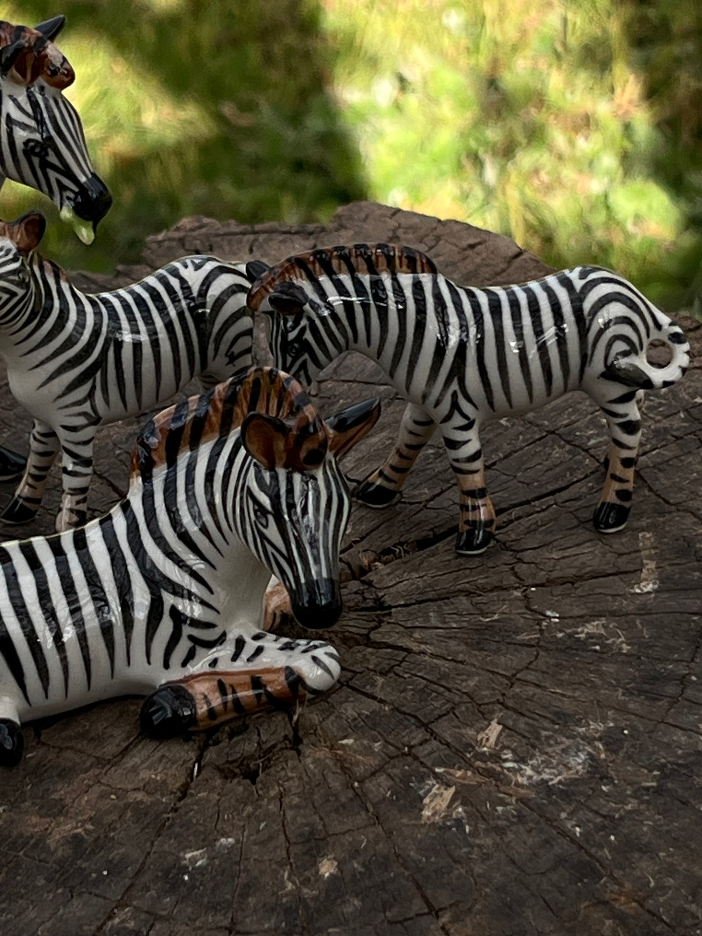 Miniature Porcelain Zebra Figurines — Set of 5
