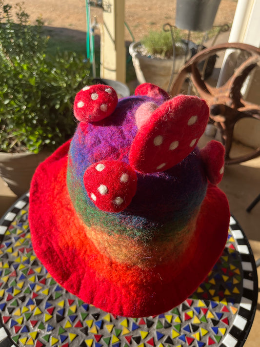 Rainbow Mushroom Felted Hat