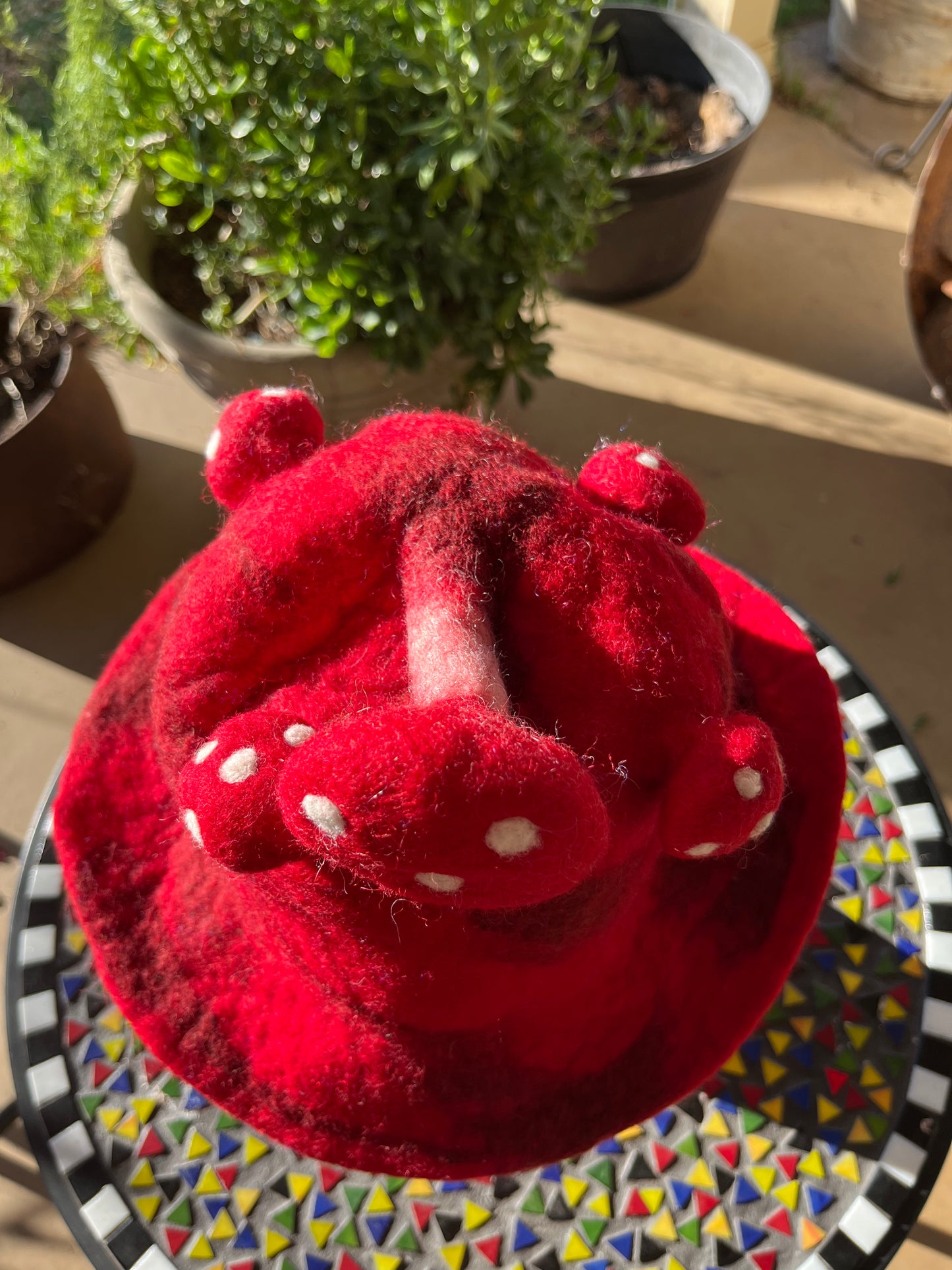 Red  Mushroom Felted Hat