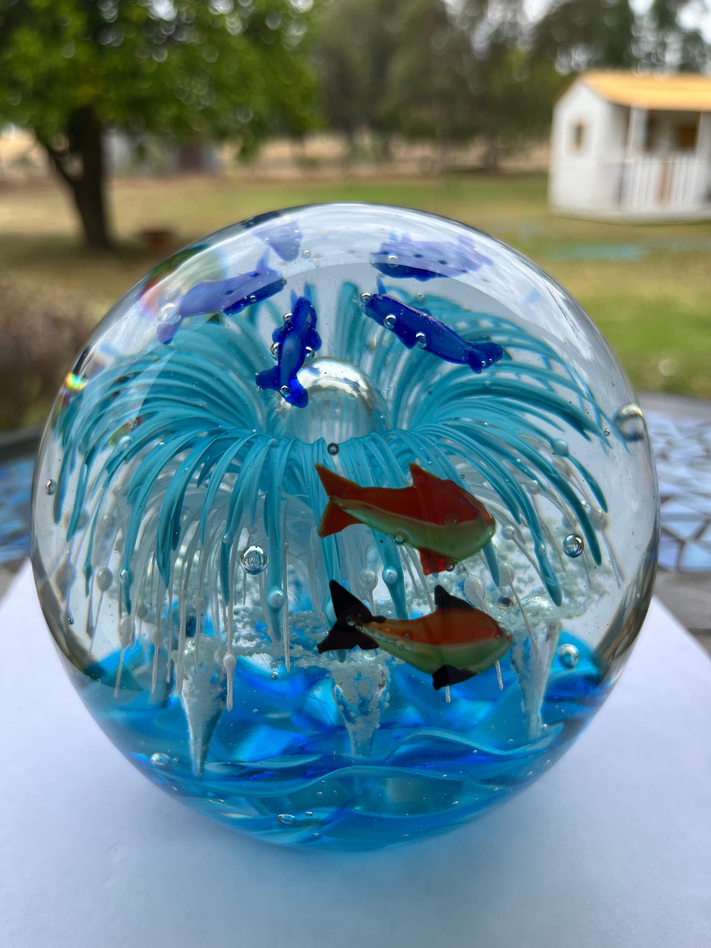 Large Paperweight Blue Splash Dolpine Glow in the dark 14cm