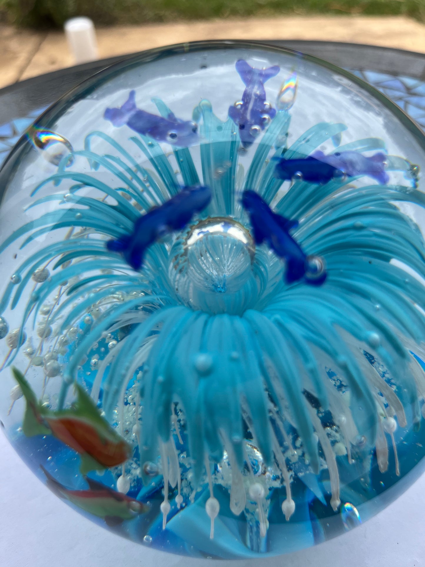 Large Paperweight Blue Splash Dolpine Glow in the dark 14cm