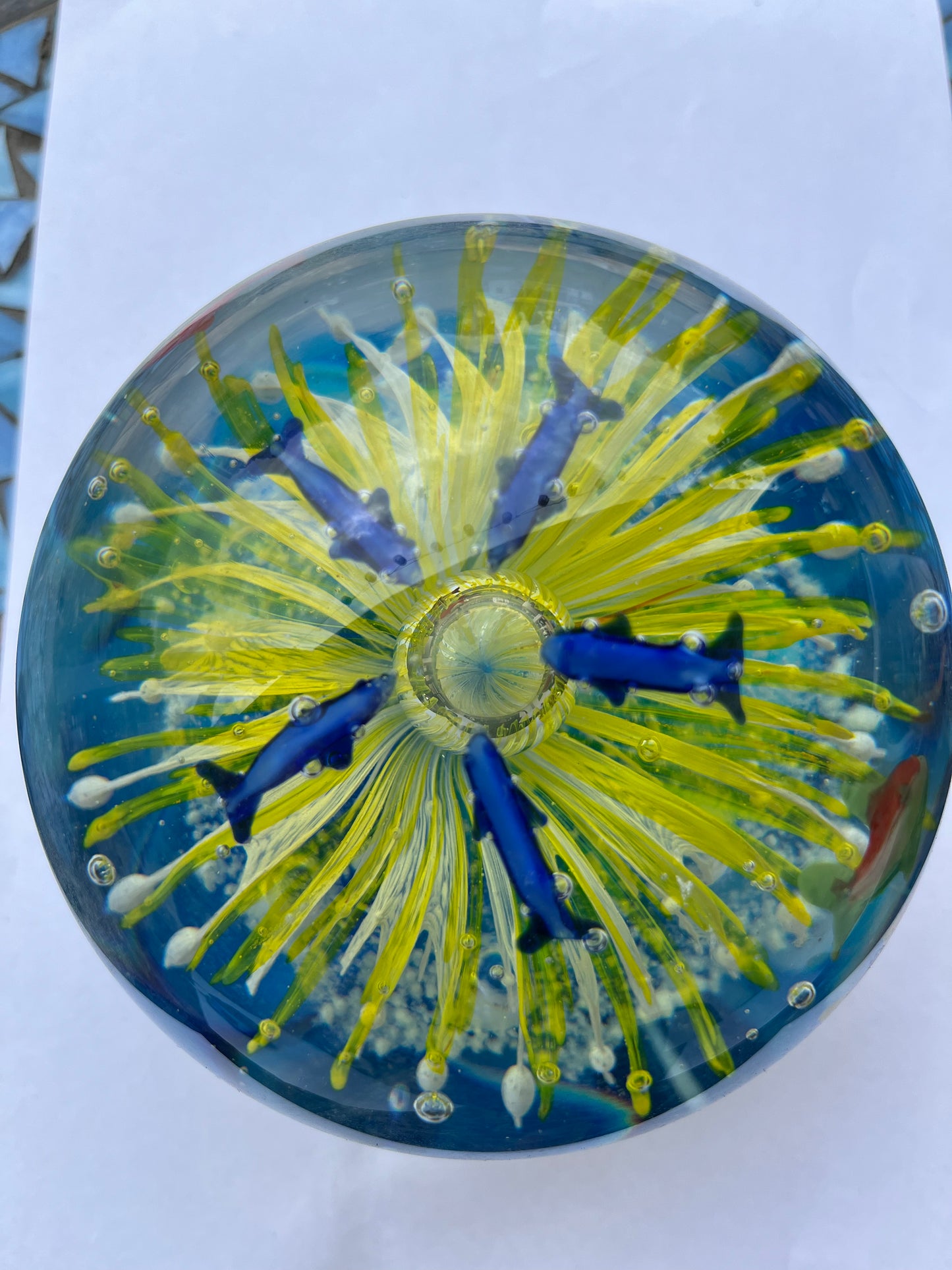 Large Paperweight Yellow Splash Dolpine Glow in the dark 14cm