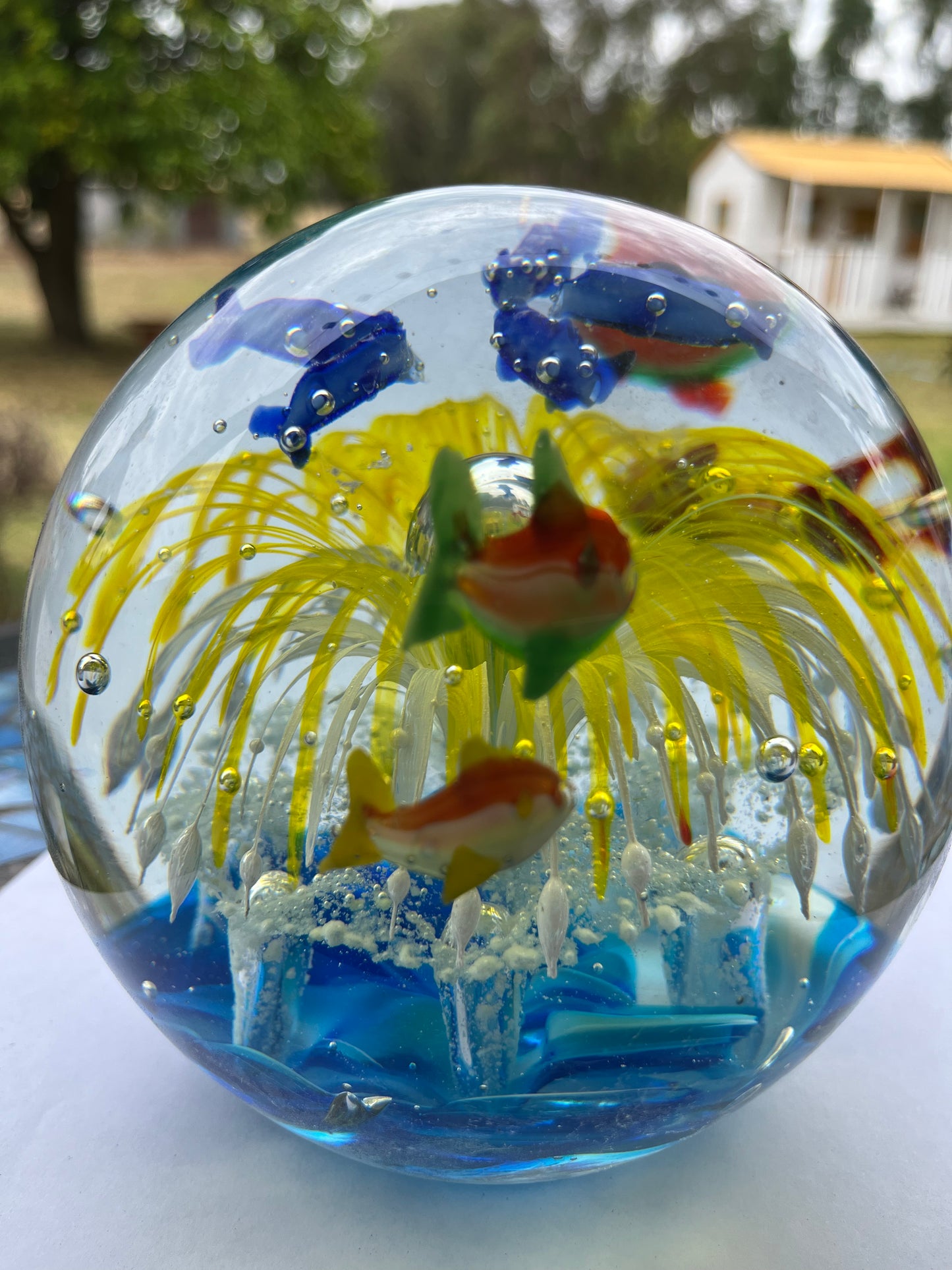 Large Paperweight Yellow Splash Dolpine Glow in the dark 14cm