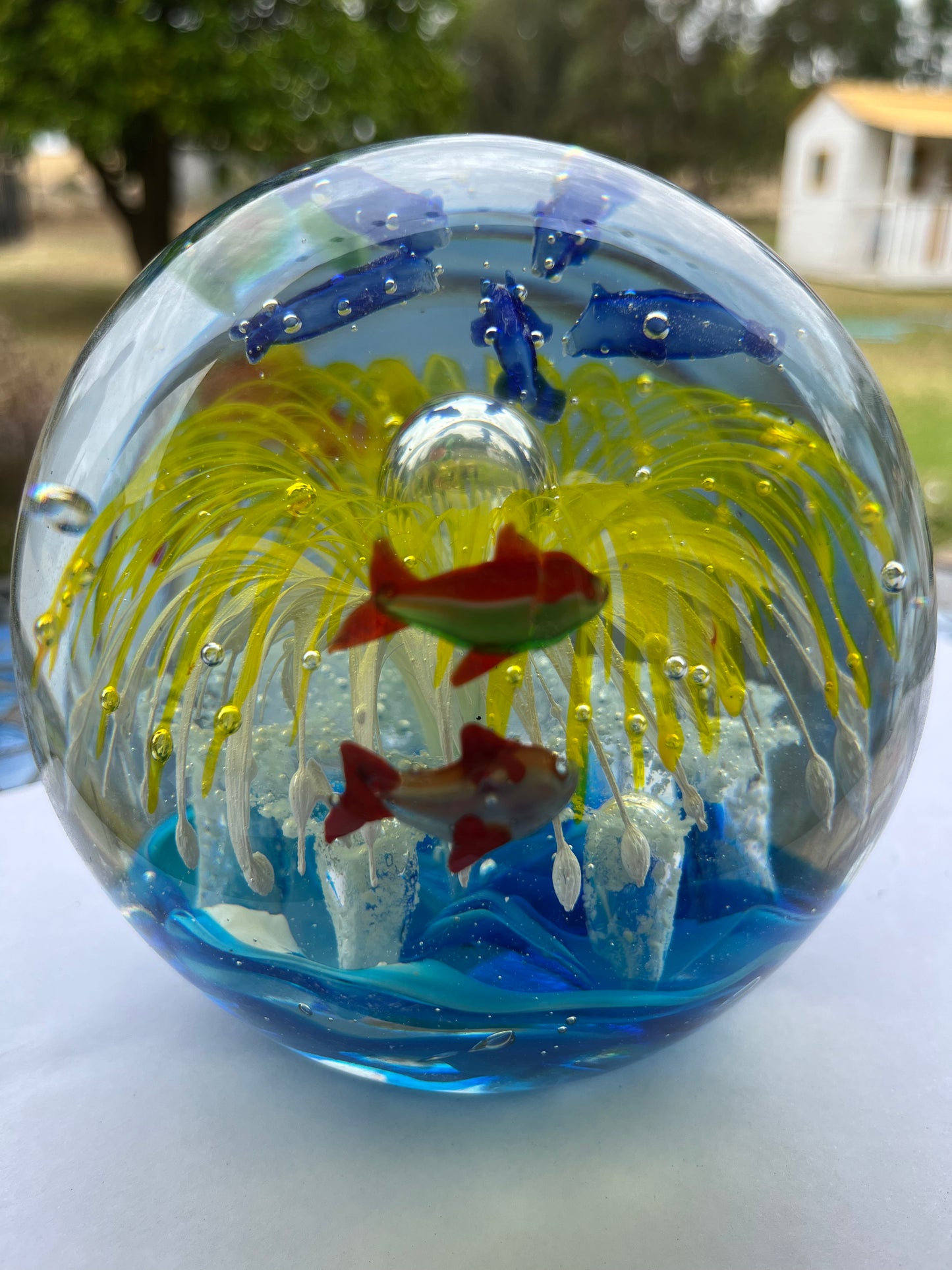 Large Paperweight Yellow Splash Dolpine Glow in the dark 14cm