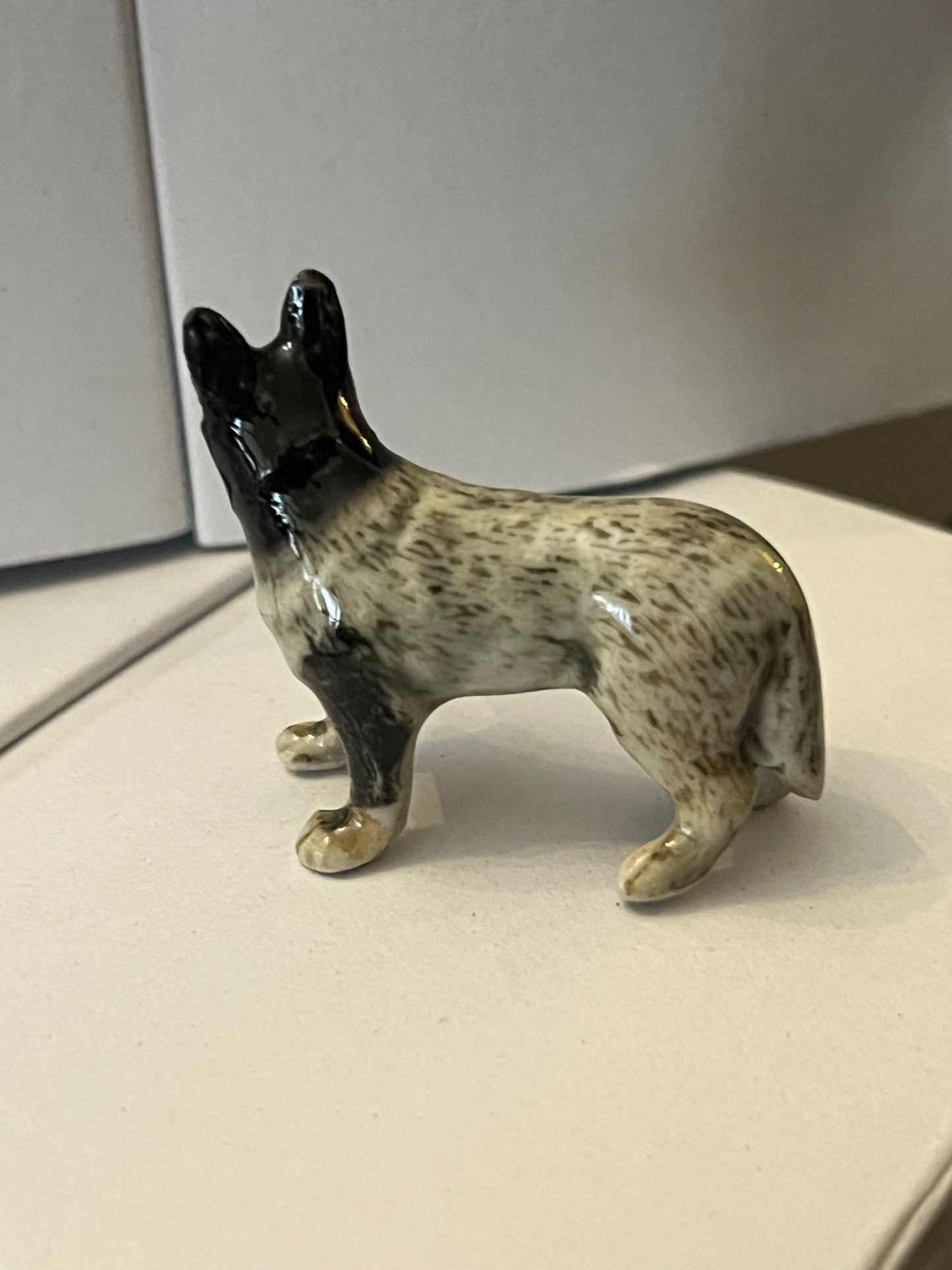 Miniature Porcelain Blue Australian Cattle Dog Mini