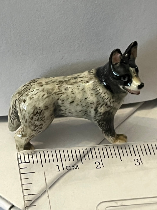 Miniature Porcelain Blue Australian Cattle Dog Mini