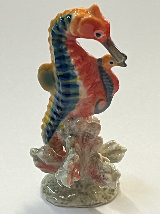 Miniature Porcelain Seahorse Hippocampus