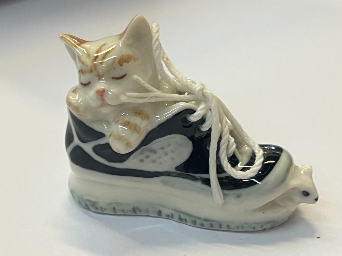 Miniature Cat Sleeping in Shoe with Mouse