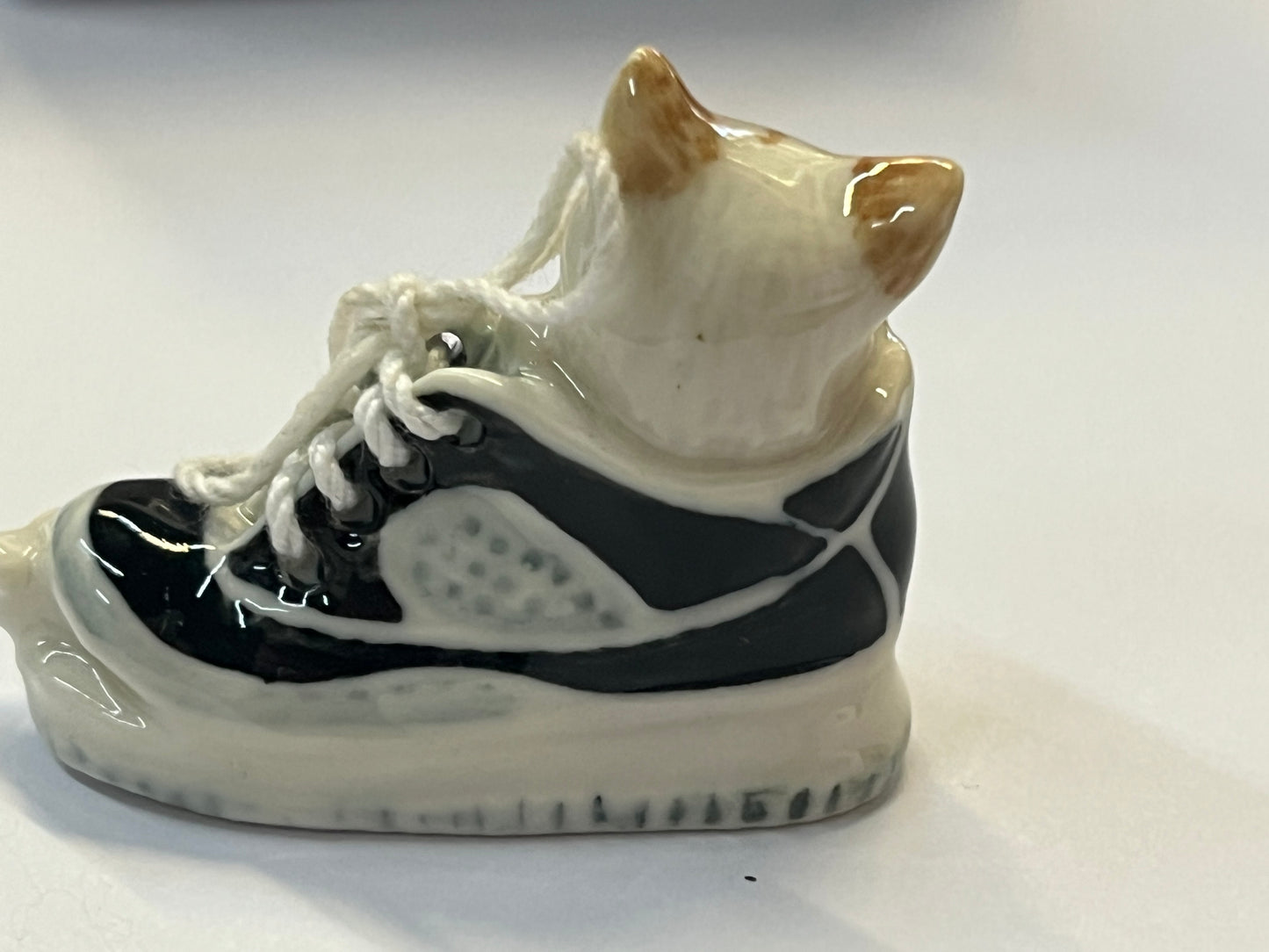 Miniature Cat Sleeping in Shoe with Mouse