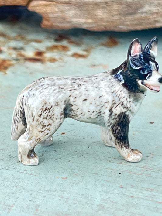 Miniature Porcelain Blue Australian Cattle Dog Mini