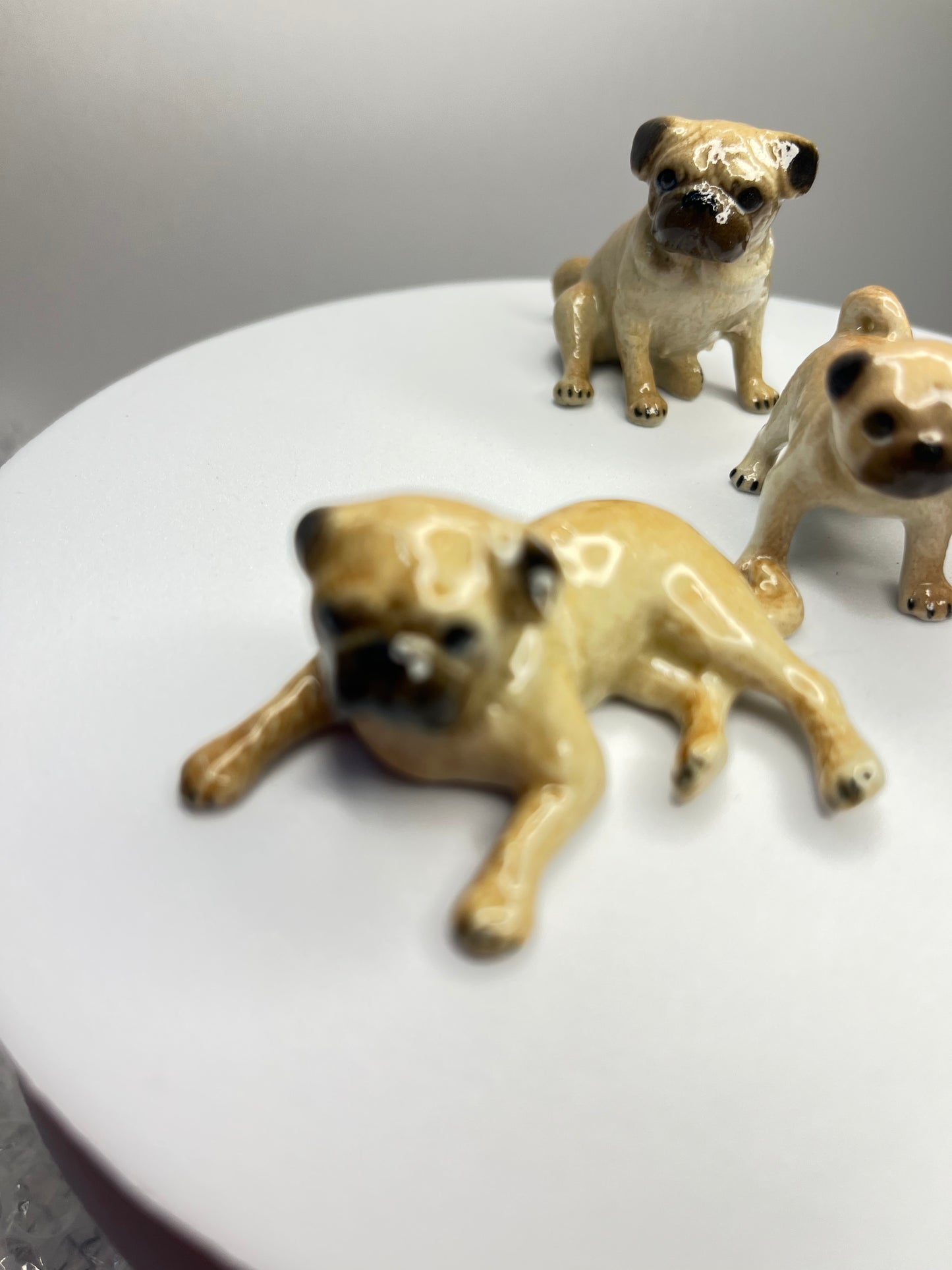 Miniature Porcelain Pug Family Set of 5 Figurines