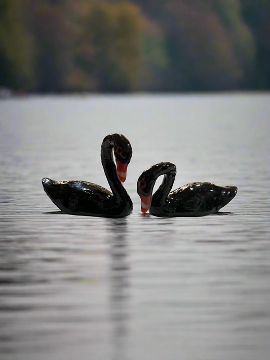 Miniature Porcelain Black Swans (mini)