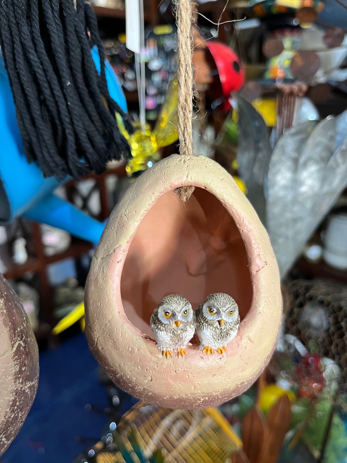 Hanging Baby Owls In Clay Nest