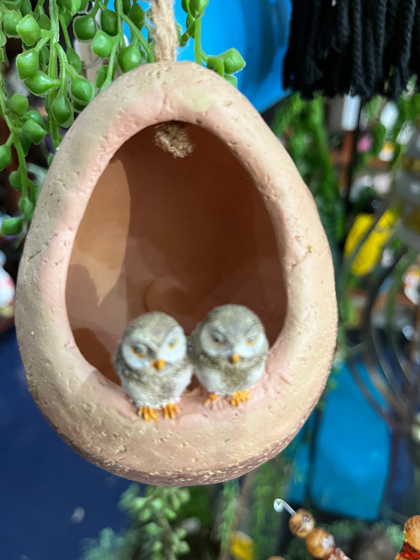 Hanging Baby Owls In Clay Nest