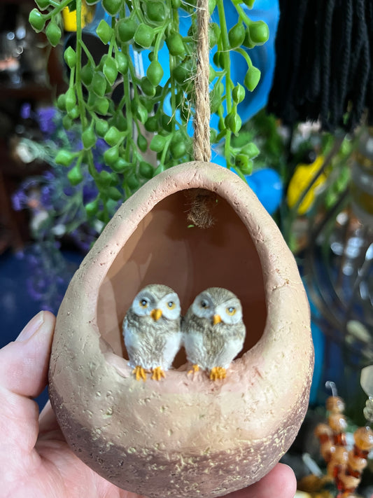 Hanging Baby Owls In Clay Nest