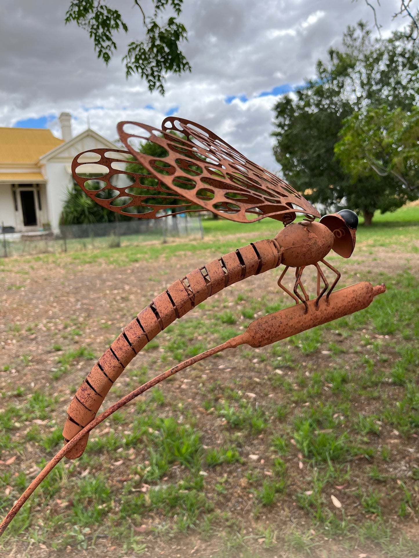180CM COLOUR DRAGONFLY GARDEN STAKE