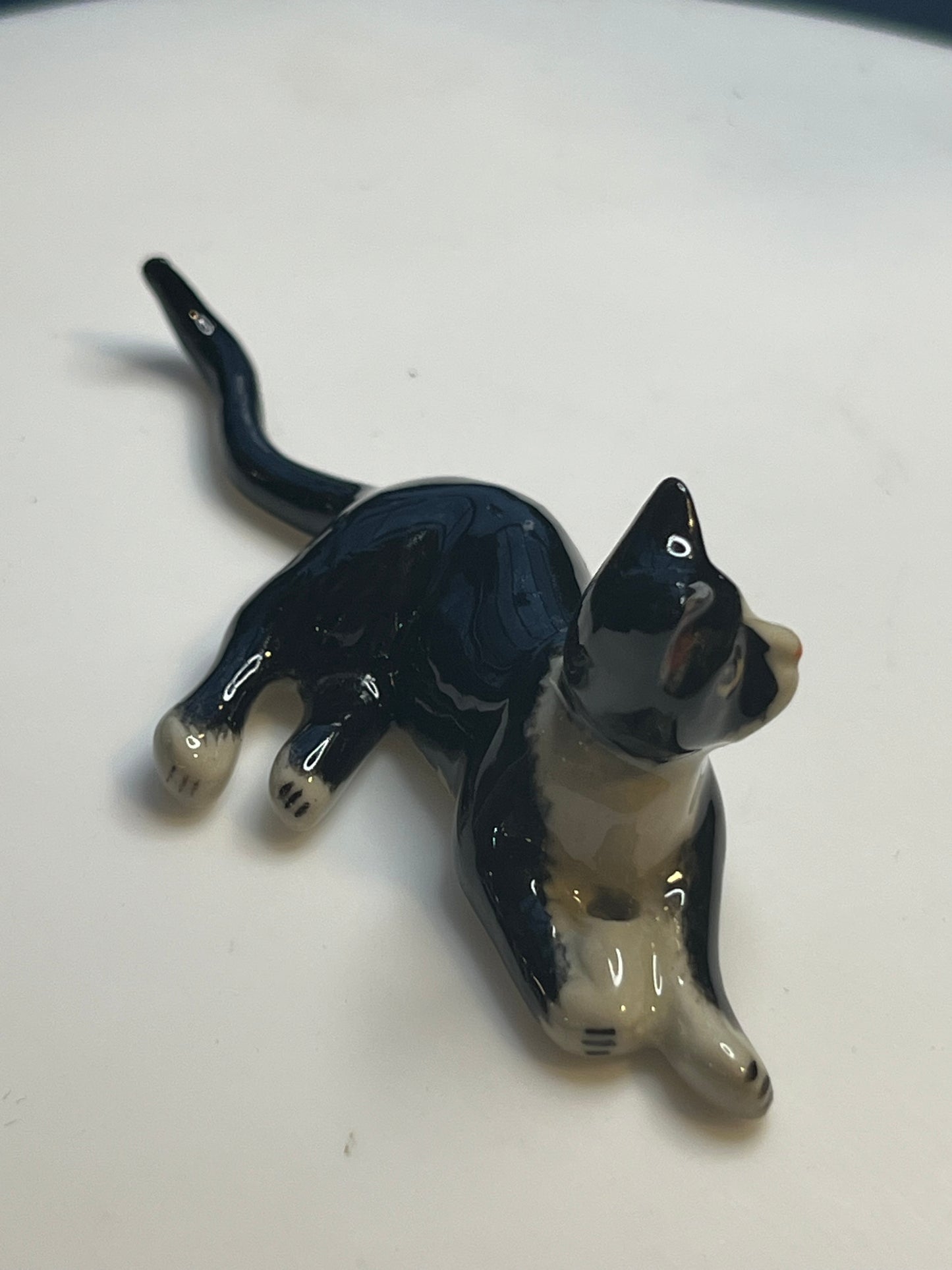 Miniature Porcelain Tuxedo Cat Lying Down