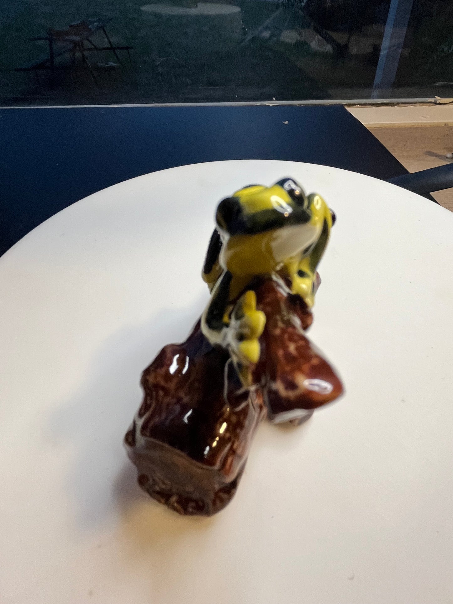 Miniature Porcelain Corroboree Frog