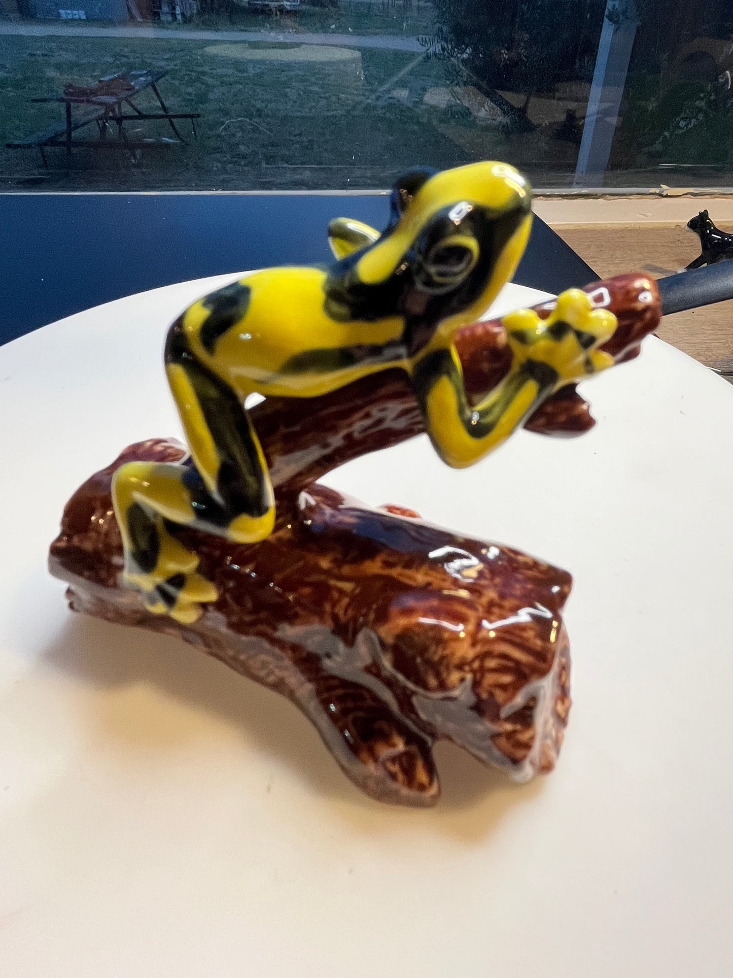 Miniature Porcelain Corroboree Frog