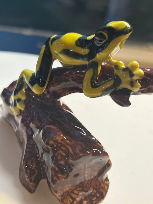 Miniature Porcelain Corroboree Frog