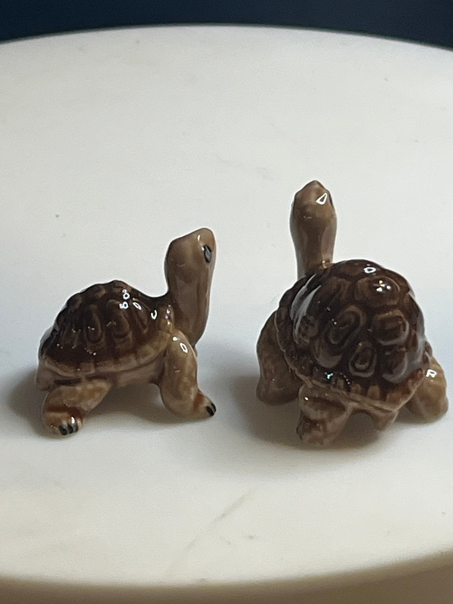 Miniature Porcelain Hand Painted Galapagos Giant Turtles