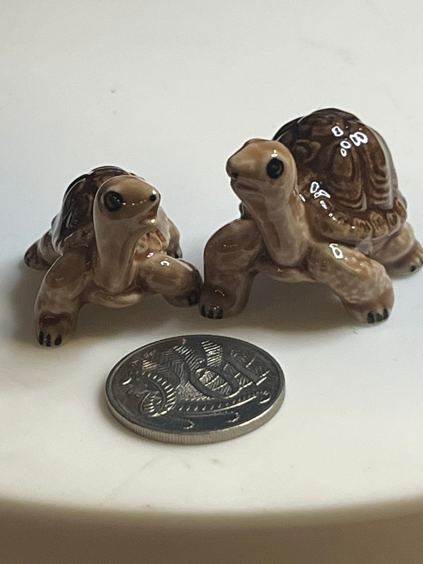 Miniature Porcelain Hand Painted Galapagos Giant Turtles