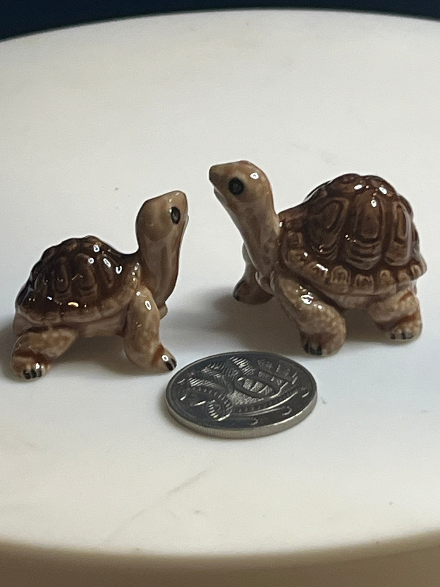 Miniature Porcelain Hand Painted Galapagos Giant Turtles