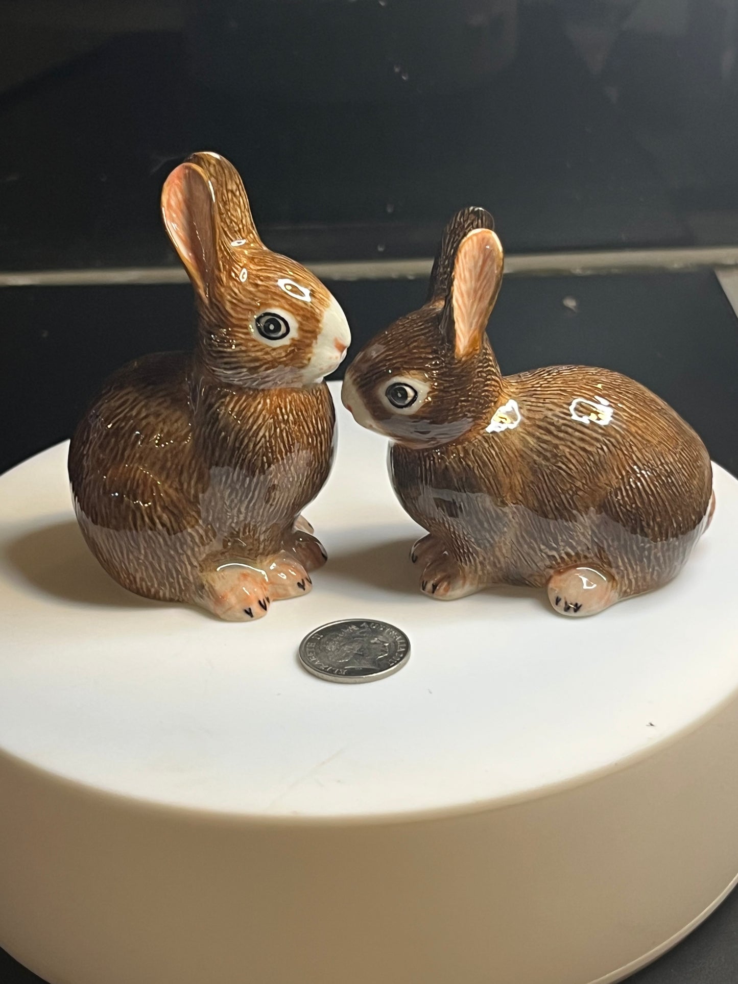 Brown Rabbits Hand Painted Porcelain Figurines