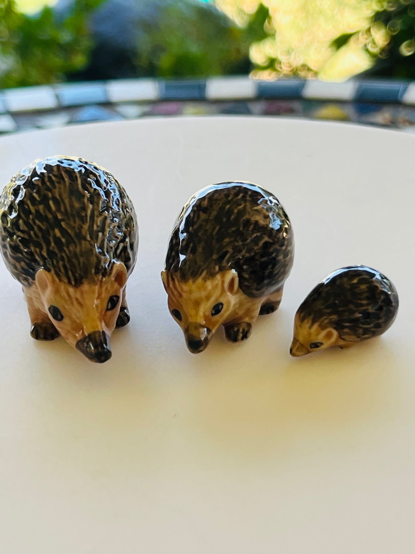 Miniature Porcelain Australian Native Echidna 3 pcs