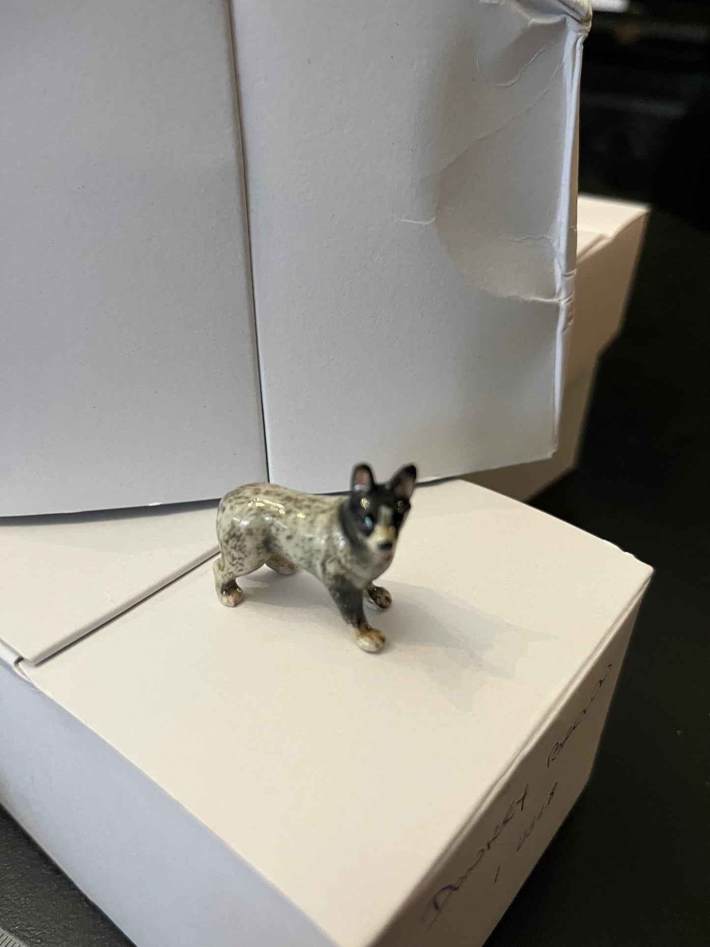 Miniature Porcelain Boarder Collie Dog Mini
